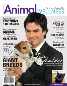 About in the media - article on dog anxiety