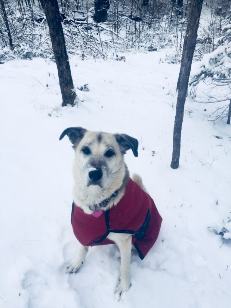 Sarah in the snow