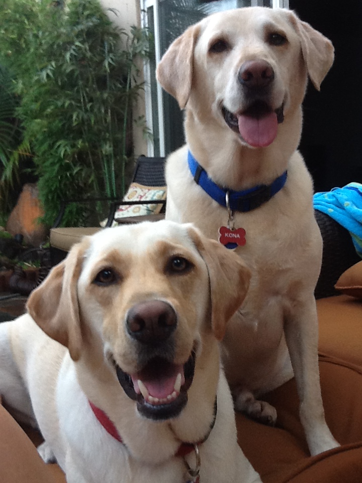 Kona and Fozzy - California, U.S.