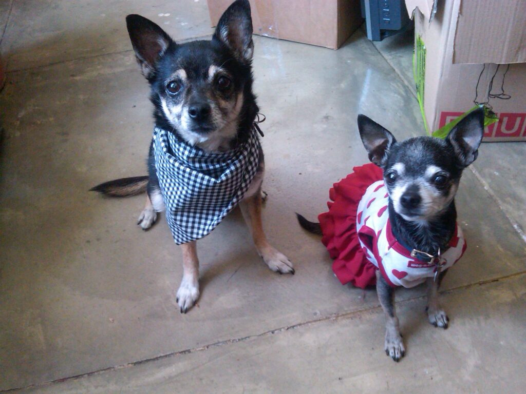 Suki and Lily - Colorado, U.S.