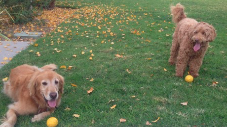 Russell and Oliver - California, U.S.