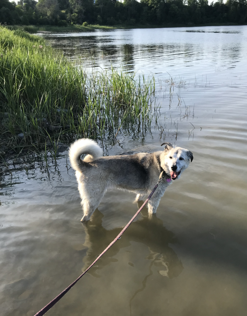 Sarah enjoying the water on a warm summer evening